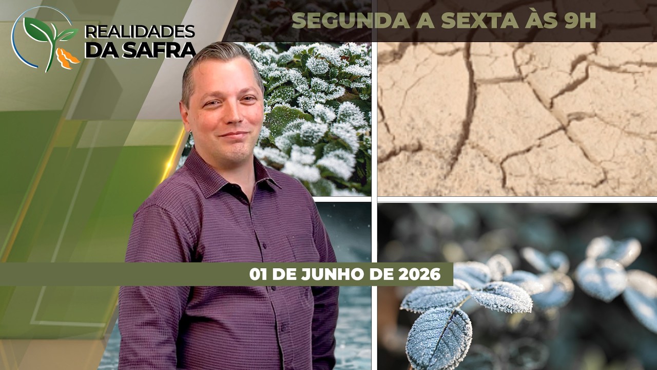 REALIDADES DA SAFRA - EDIÇÃO 01-06-2026