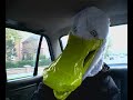 Park Duck. The duck that parks