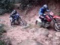 roias
