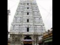 Composition on Tiruchanoor Pushpa yagam ...Sri Padmavathi...Prof. Vellore A.R.Srinivasan