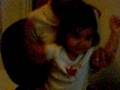 videos de baby singing