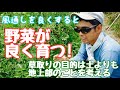 草取り･草刈りの目的について【手入れ】2019年6月19日natural farming