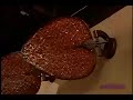 Fanimation