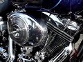 Genuine Sound of Harley Davidson Genuine Sound of Harley Davidson