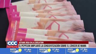 OCTUBRE ROSA EN LA LEGISLATURA