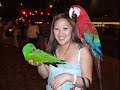 Hawaii Vacation 1