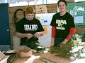 Calvin Style Centerpiece Making