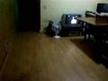 videos de HBFP indoor flight