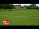 Bail N Ball. IN THE CREASE WEEK 6. NUTHALL vs COLLINGHAM II