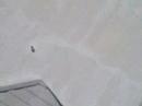 Kite Video Test Makes Me Queasy