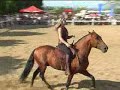Spectacle Equestre Audrey Hasta Luego Spectacle Equestre Audrey Hasta Luego