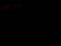 videos de J grabs foot.ASF