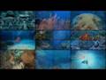 Split Screen con Avisynth
