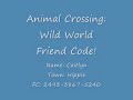 Animal Crossing: Wild World Friend Code!