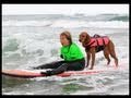 Surf dog Ricochet surf with armless surfer, Sabine Becker