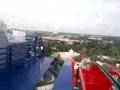 Floorless Sheikra Busch Gardens Tampa Bay H2O