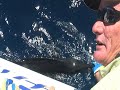 Billfish on fly - Mooloolaba, Sunshine Coast Billfish on fly - Mooloolaba, Sunshine Coast
