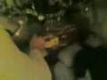 videos de Emi scemo