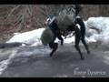 Boston Dynamics (DARPA) BIGDOG Robot