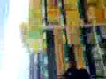 tim und mury tim und mury