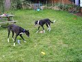 Hex & FrOP playing