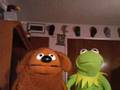 Kermit The Frog's Reaction to 2 girls 1 cup Pt.2