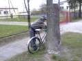 pijok