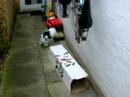 Snoopy2