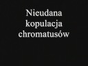 Jak wyżej:p