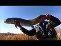 Loop Rod Promo
