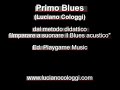 Imparare a suonare il Blues acustico (primi 5 brani)