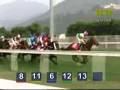 (賽馬) 飛鷹山 vs 希臘寶馬 vs 凌駕力 (國泰航空香港盃 2008)