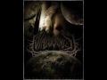 Malodorous - Profligate Fortitude