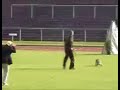 malinois