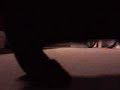 Laser pointer black cat Laser pointer black cat