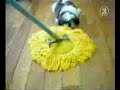 Doggy get draged by mop! Doggy get draged by mop!