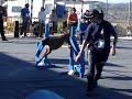 canina santa margarida de montbui 2Ēmānega canina santa margarida de montbui 2Ēmānega