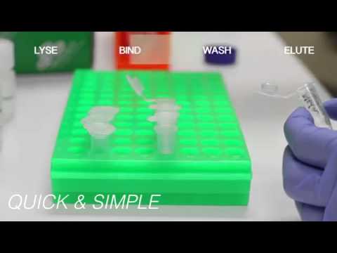 how to isolate rna from tissue