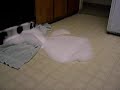 dishwasher