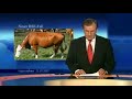 Tagesschau: Wolfgang Sch�uble hat BSE [Satire]