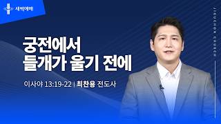 궁전에서 들개가 울기 전에