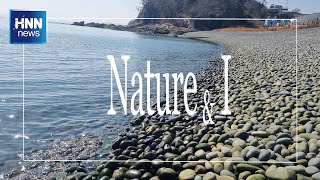 파도에 깎여 둥글고 아름다운 갯돌들