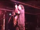 Jaya the Cat Middle East Song 2