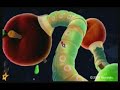 Newスーパーマリオブラザーズ動画