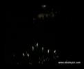 XLarge s?n?f? Havai fi?ek G�sterisi