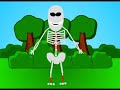 Anatomy for beginners Anatomy for beginners