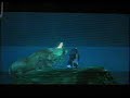 Zelda OOT: Killing Ganondorf with One Light Arrow (55 secs)