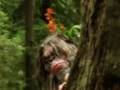 Bigfoot Reunion in the Redwoods (in HQ)