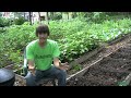 2 Common Tomato Myths & New Changes