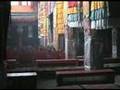 Chinese repression in Tibet (BTN-20) 大山話